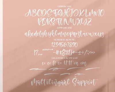 Amigoste Beautiful Script font