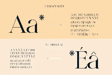 Modern Serif Font