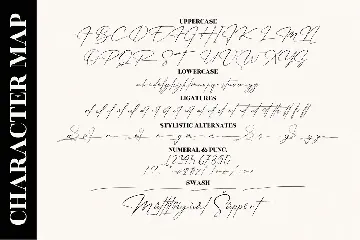 Patricia Signature Font