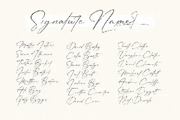 Patricia Signature Font