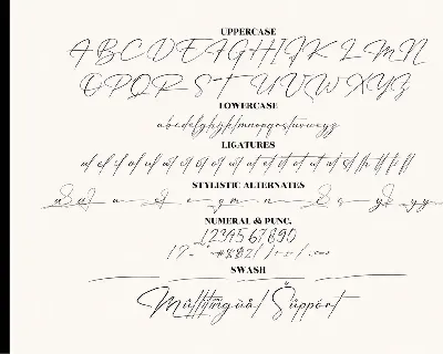 Patricia Signature Font