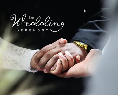 Still Wonder Script font