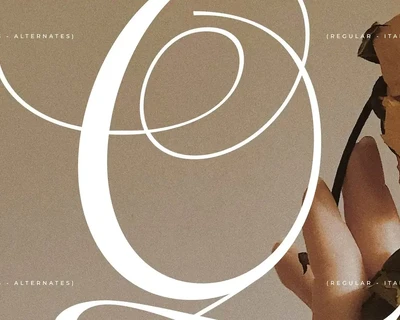 Menasha Brown New Hybrid Typeface font