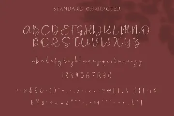 Cattus - Modern Casual Script Font