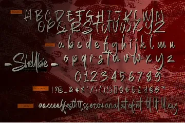 Shellbie_ Script Brush Font