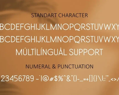 Sans Shiro font
