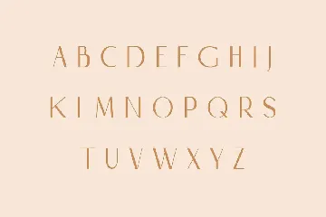 Levior en Rose - Classy  Typeface font