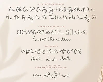 Saylora Script Font