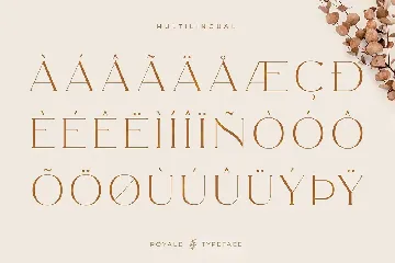 Royale Luxurious Typeface font