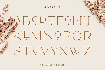 Royale Luxurious Typeface font