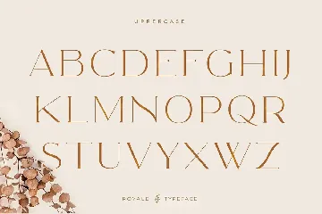 Royale Luxurious Typeface font