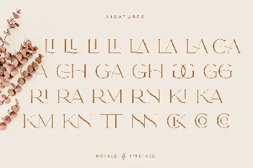 Royale Luxurious Typeface font