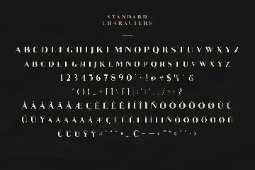 Groce - Stylistic Serif Font