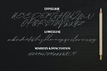 Maddison Signature Font