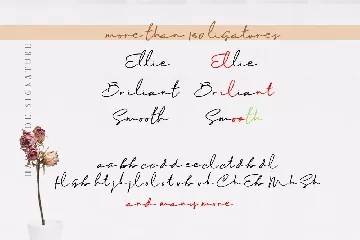 Maddison Signature Font