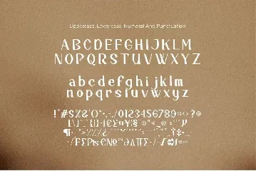 Riclane Elegant Serif Font