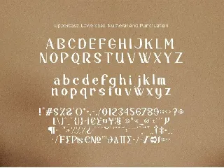 Riclane Elegant Serif Font