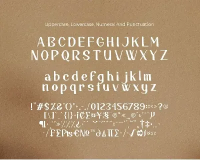 Riclane Elegant Serif Font