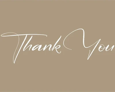 Delmonte Belarina Modern Signature Font