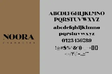 Noora - Serif Font