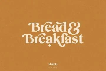 Mikela Regular - Gorgeous Typefaces font