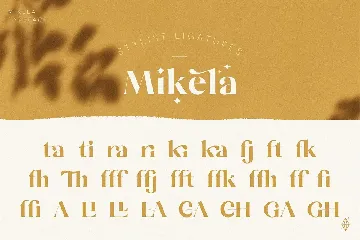 Mikela Regular - Gorgeous Typefaces font