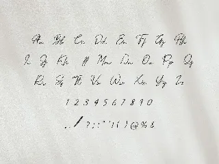 Qardenia Signature Font