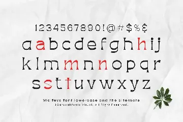 Wolfeys - Thin Sans Serif Display Font