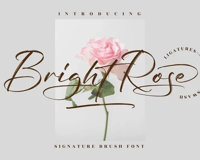 Bright Rose Signature Brush Font