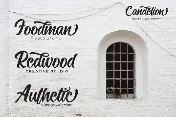 Candelion Casual Script font