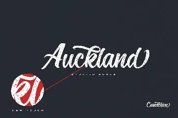 Candelion Casual Script font