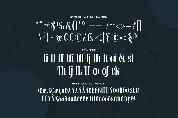 Monkins - A Condensed Sharp Serif Font