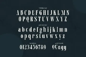 Monkins - A Condensed Sharp Serif Font