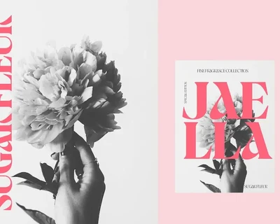 Jaella - Decorative Retro Serif font