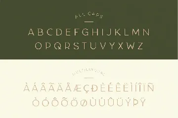 Taylor - Royal Classic Typeface font