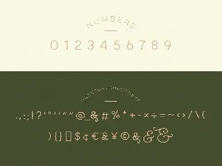 Taylor - Royal Classic Typeface font