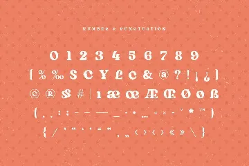 Kaolin - Fancy Retro Serif font