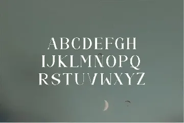 Camelia Elegant Serif Font