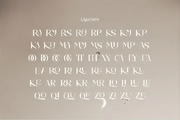 Camelia Elegant Serif Font