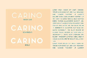 Carino - A Modern Elegant Typeface font