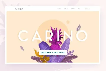 Carino - A Modern Elegant Typeface font