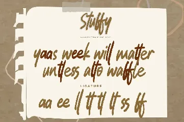 Stuffy - Handwritten Script Font
