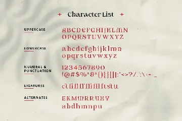 Romancial - Romantic Classic Fantasy Serif font