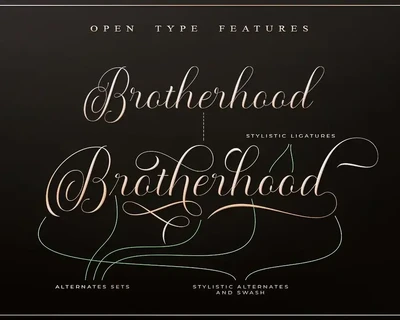 Maldini Script font