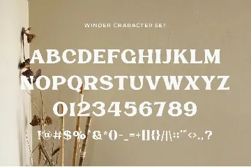 Winder - Classic Display Serif font