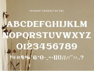 Winder - Classic Display Serif font