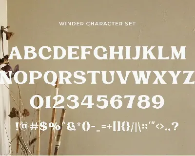 Winder - Classic Display Serif font