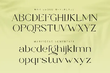 Marie Gold - Modern Serif font