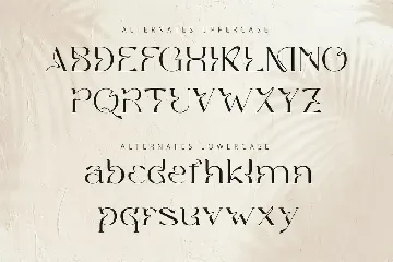 Marie Gold - Modern Serif font