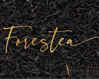 Forestea - Classy Script font